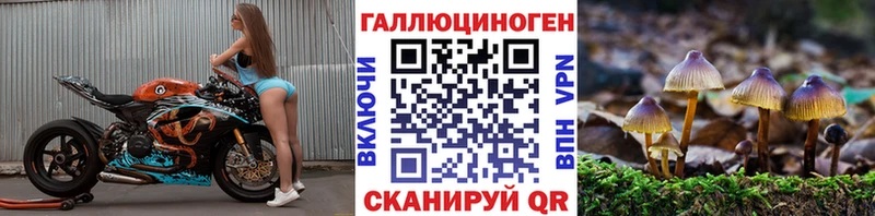 Галлюциногенные грибы ЛСД Зверево