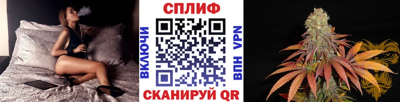 Бошки Шишки планчик  хочу   Зверево 